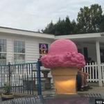 Sunni Sky's Homemade Ice Cream