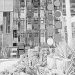 Flora Grubb Gardens