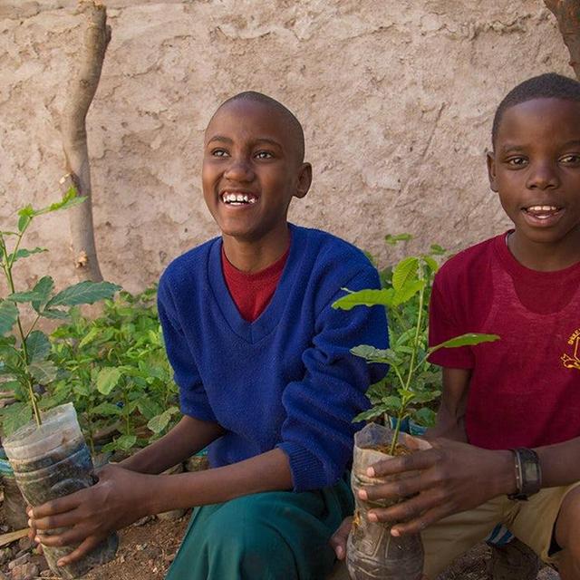 Gift of Trees