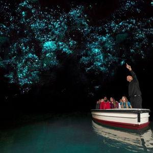 Visit the Glowworms of Waitomo Cave