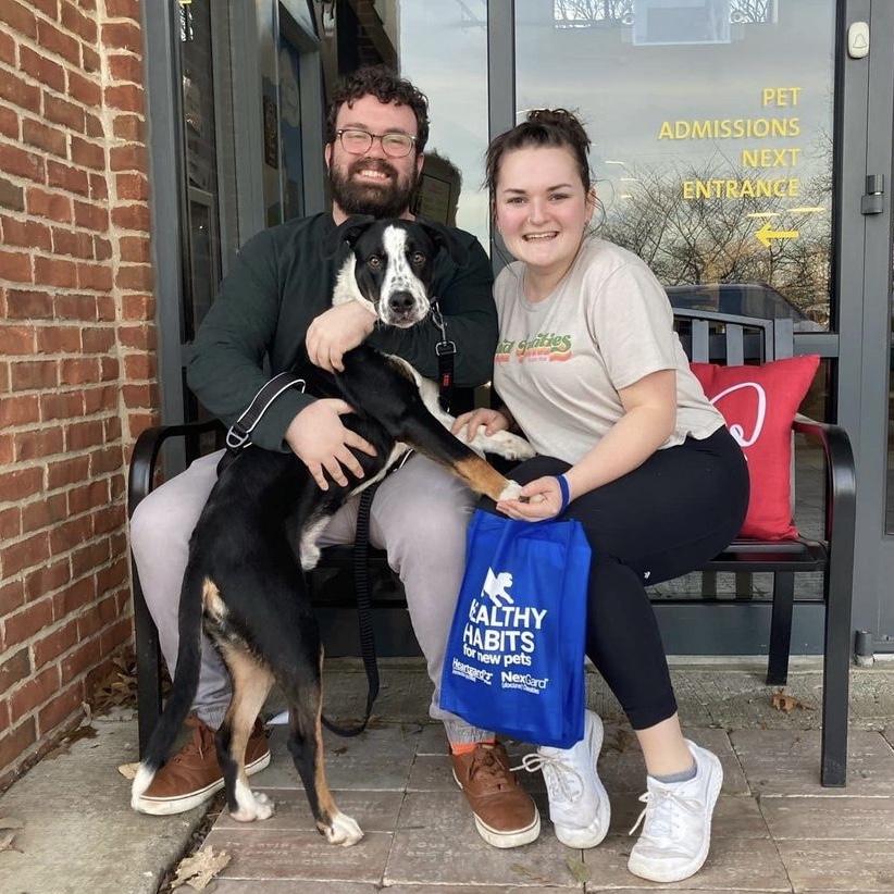 January 2023: the day we adopted our Joe dog, the very best day