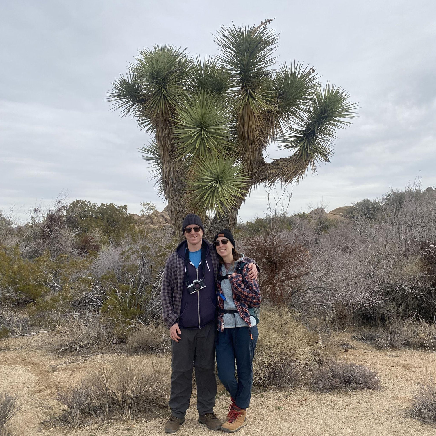 This is a joshua tree! Pretty cool.