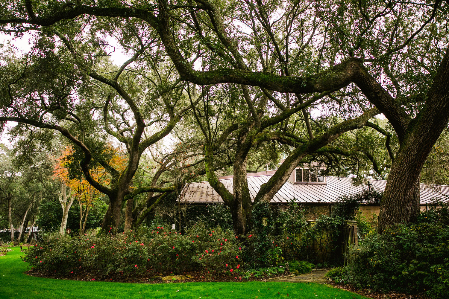 The Wedding Website of Libby Zanin and William Flanagan