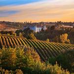 Temecula Wine Tour