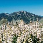 Proctor Loop Hike