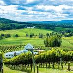 Monticello Wine Trail