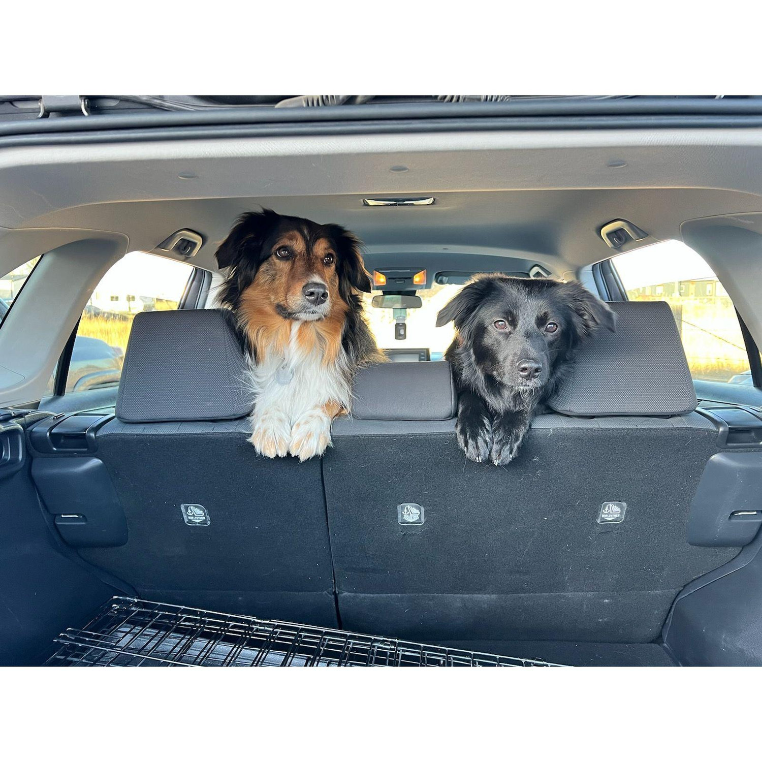 Mabel & Jett