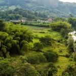Pereira
