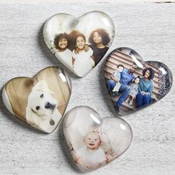 Timeless Treasures Fund