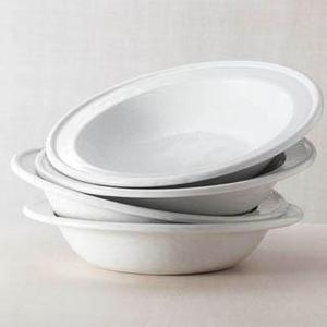 Rimmed Pasta / Soup Bowl - White on White