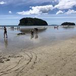 Hauturu Island (Clark Island)