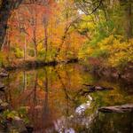 Ridley Creek State Park