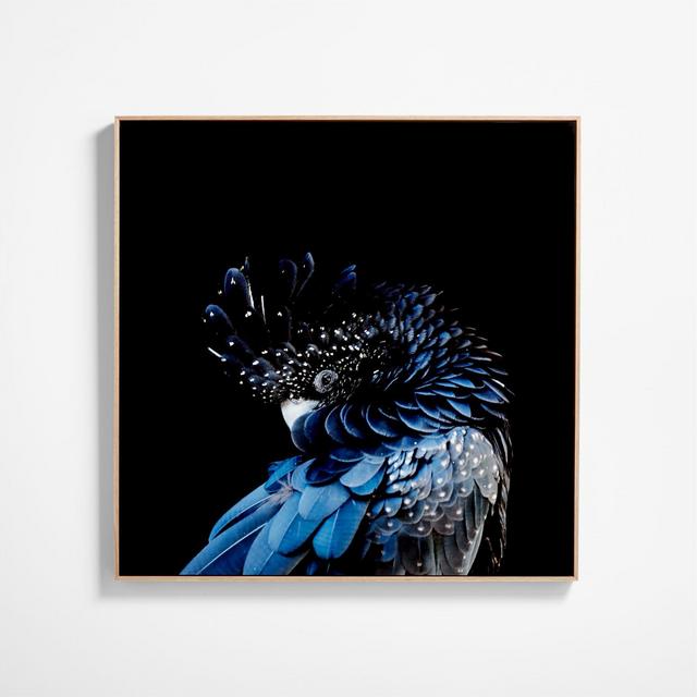 Blue Cockatoo Print