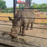 Zoo Knoxville