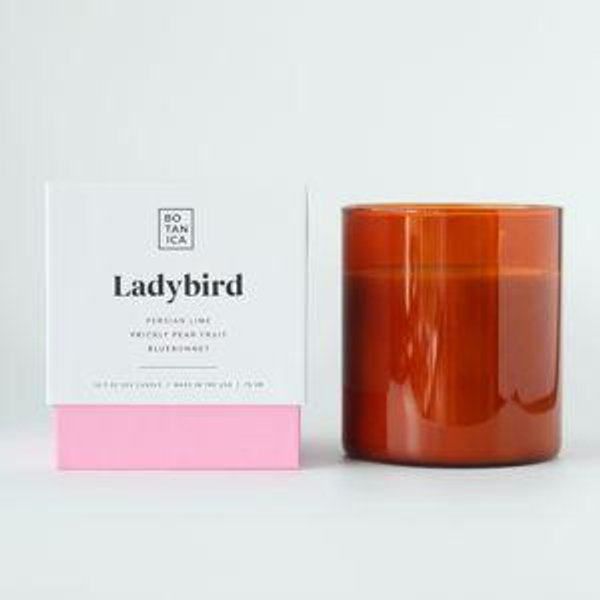 Ladybird Candle | Double Wick 14.5 oz