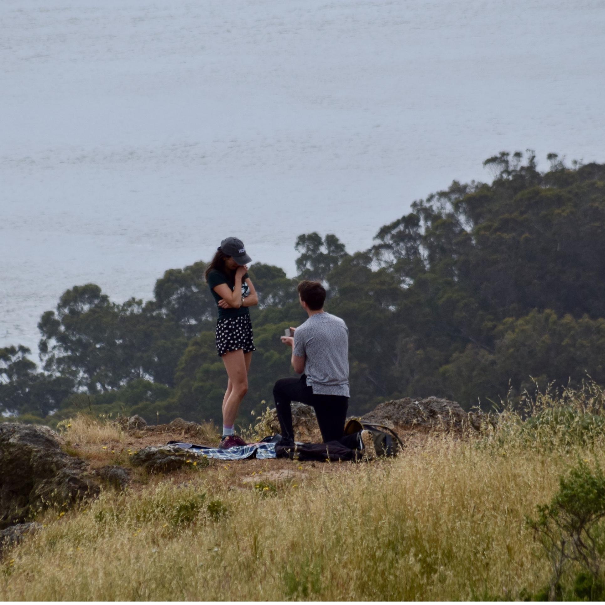 2019 (THE PROPOSAL)