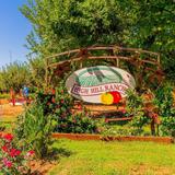Apple Hill | High Hill Ranch