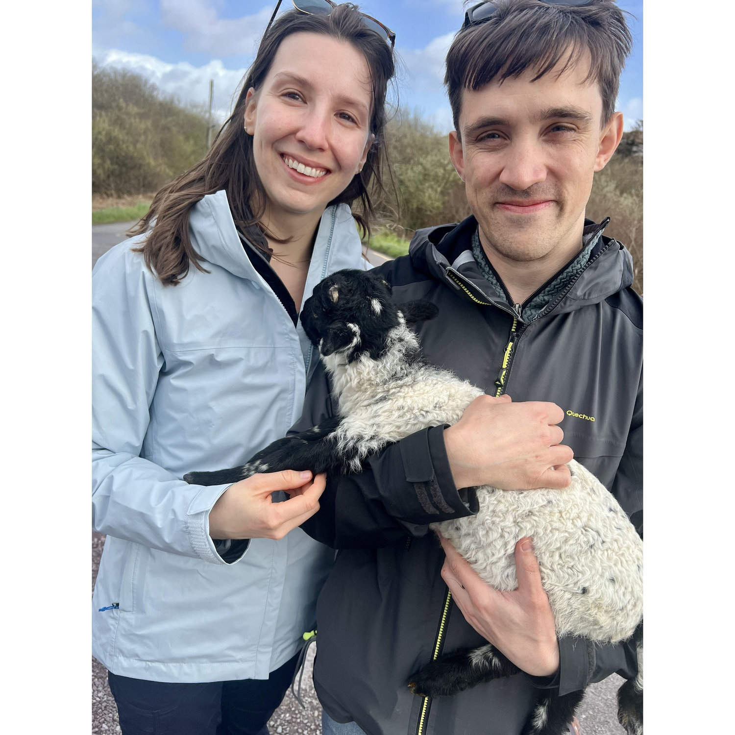 Ireland, April 2024--lambing season!
