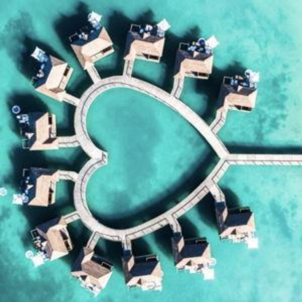 Sun, Fun & Just-Married Funds