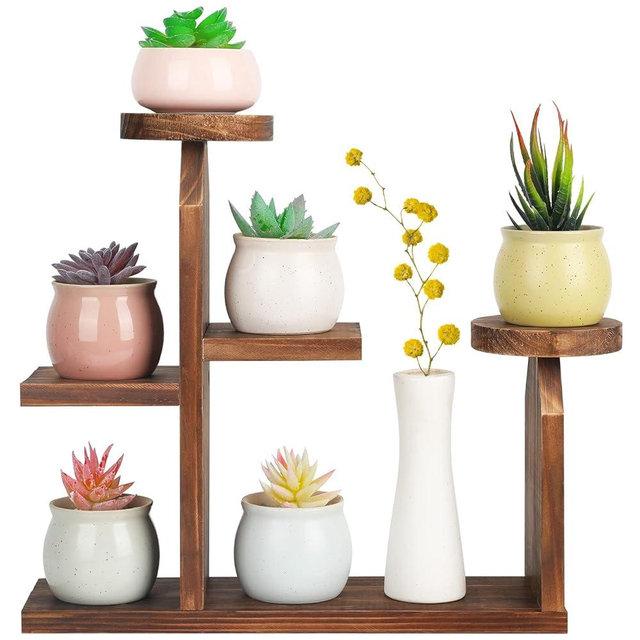 COOGOU Wood Desktop Plant Stand - 5 Tier Tabletop Plant Shelf Windowsill Flower Shelf Holder Indoor, Small Succulent Herb Display Rack for Home Office Living Room Bedroom Decoration