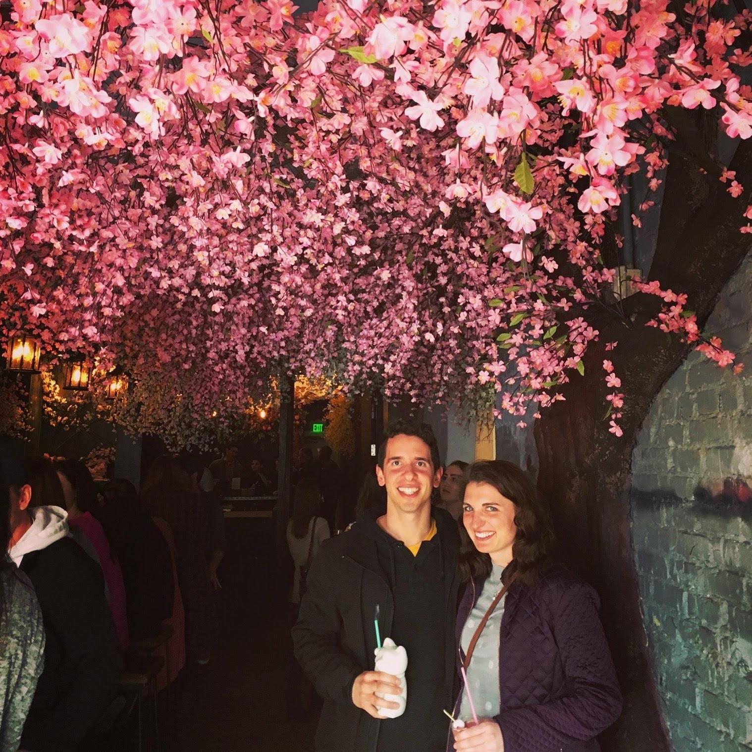 Took a trip to the cherry blossom pop up bar in DC during a spring break.