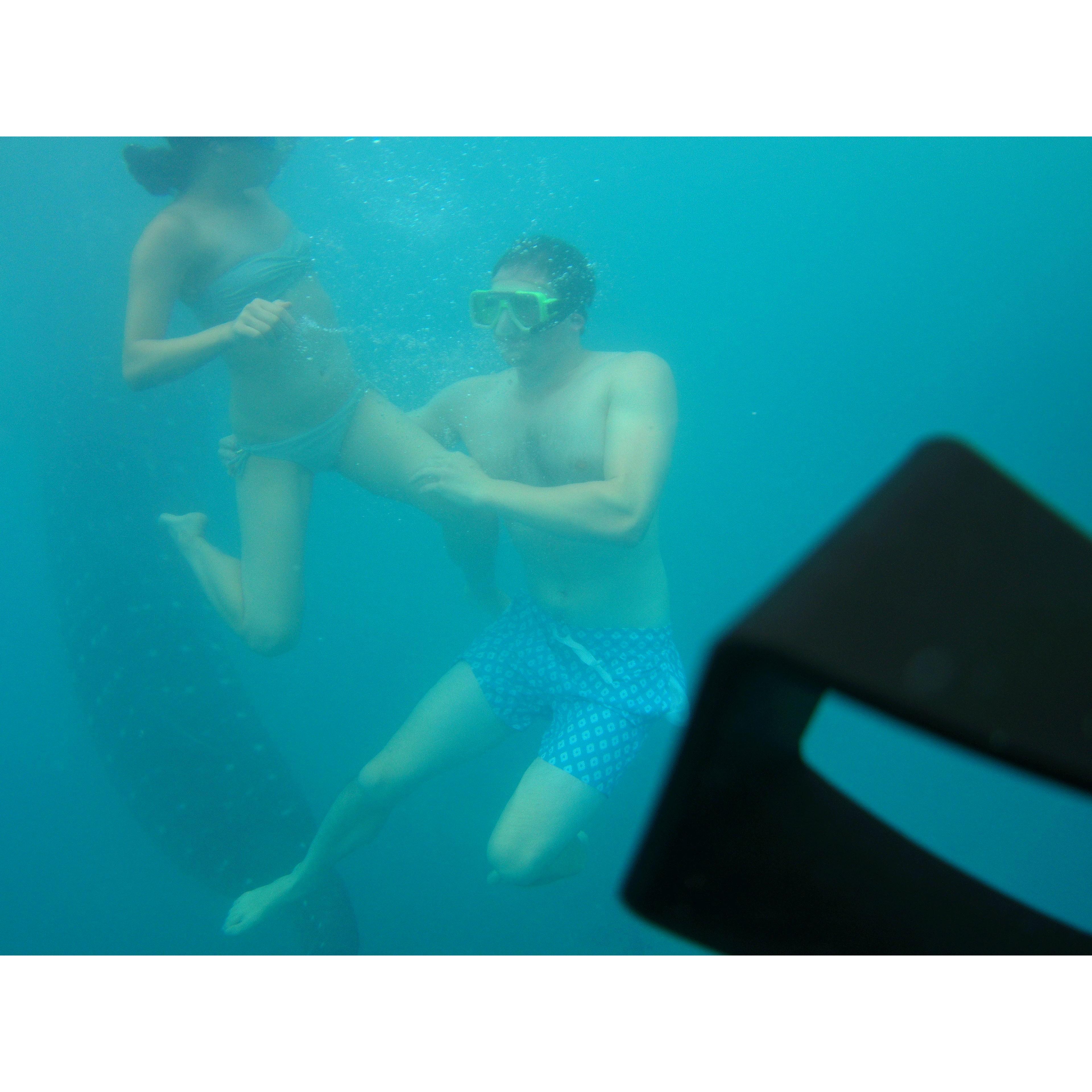 An example of some of the crazy things Tom will make Jung do: swim with whale sharks though she was petrified and screaming underwater. (Phillippines 2015)