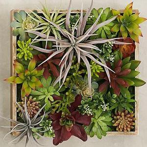 Succulent Wall, Green - Small