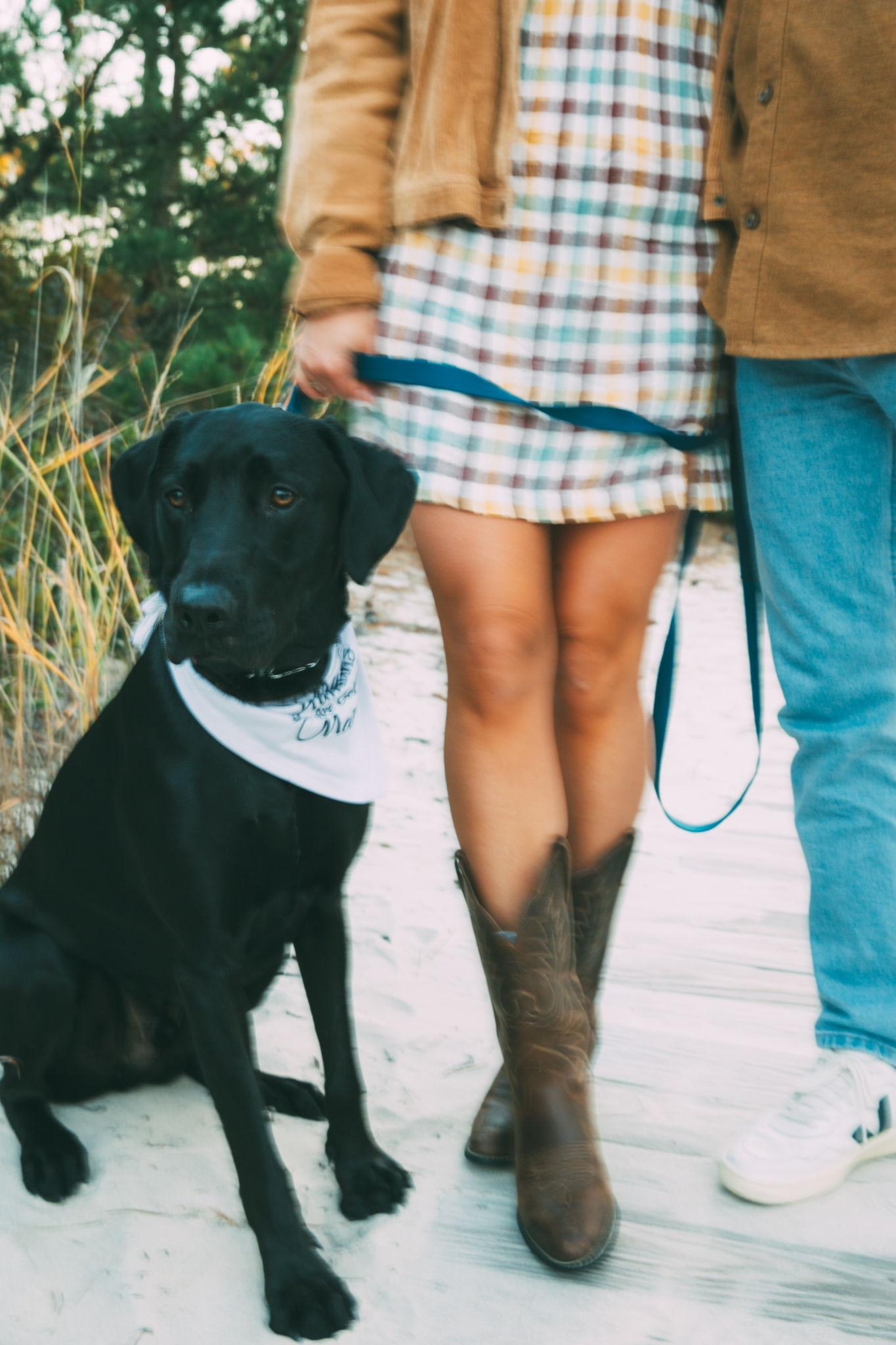 The Wedding Website of Paige Linck and Nick O'Connell