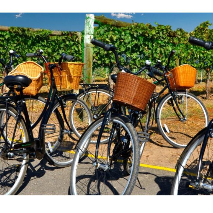 Santa Barbara Wine Tasting For Two by Bike