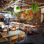 Casual Animal Brewing Co