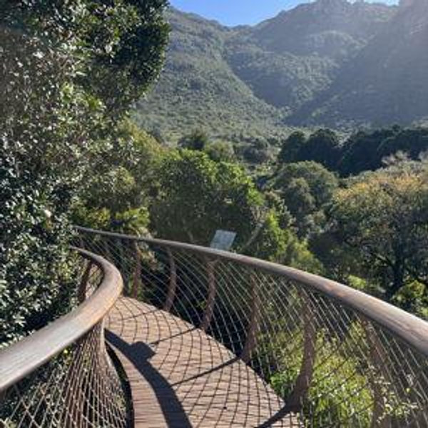 Kirstenbosch Botanical Garden Tickets for 2