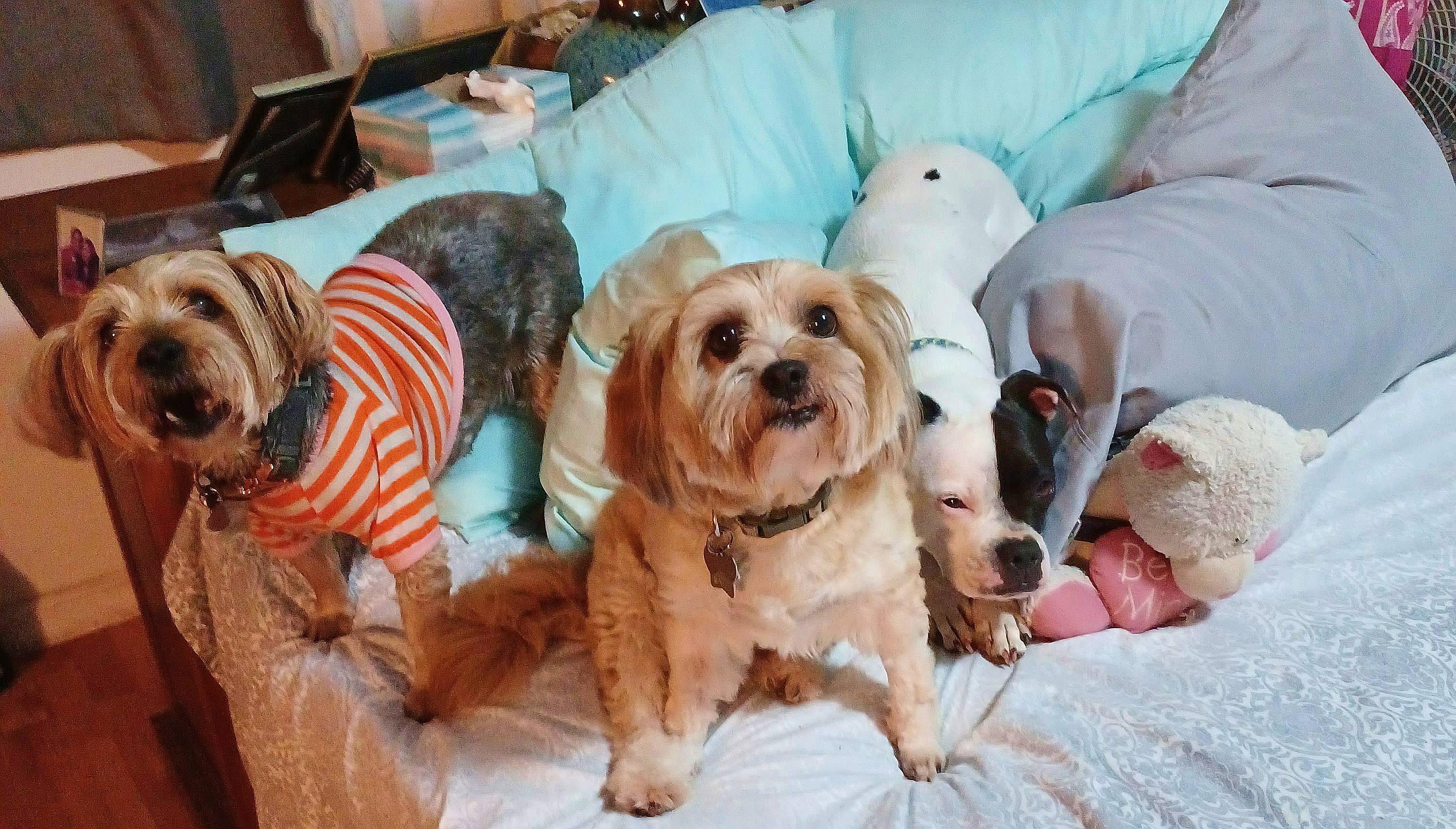 The Wedding Website of Alex Naki and Kalani Tomas