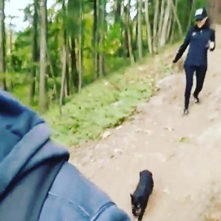 Climbing mountains with Mr. Kitty