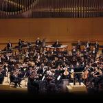Madison Symphony Orchestra Inc