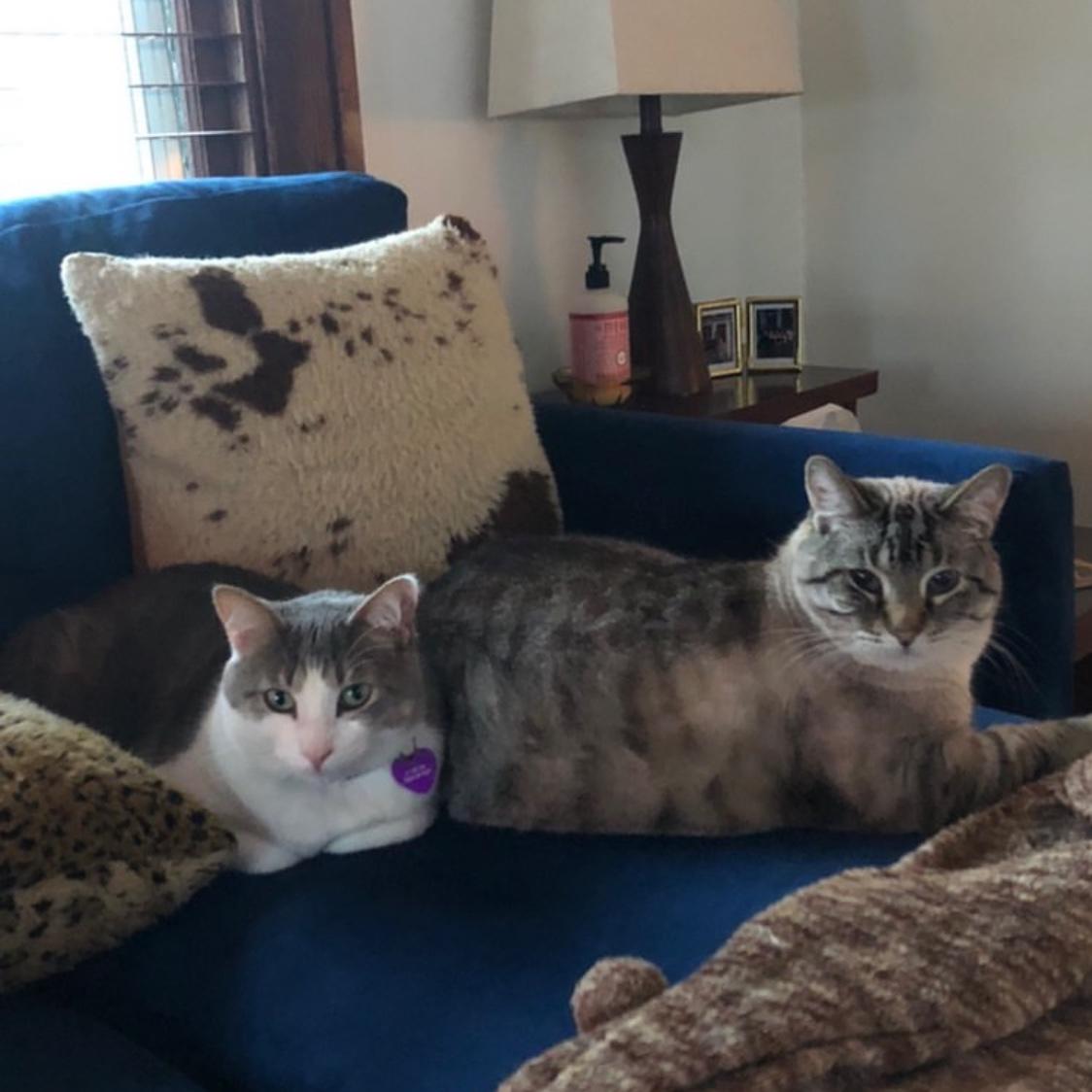 Two peas in a pod, Cassie & Casper.
