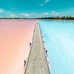 Salt Flats of Cabo Rojo