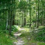 Huron County Nature Center & Wilderness Arboretum