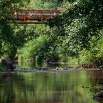 Hillsborough Riverwalk