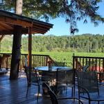 Augustino Estate Tree House Tasting Room