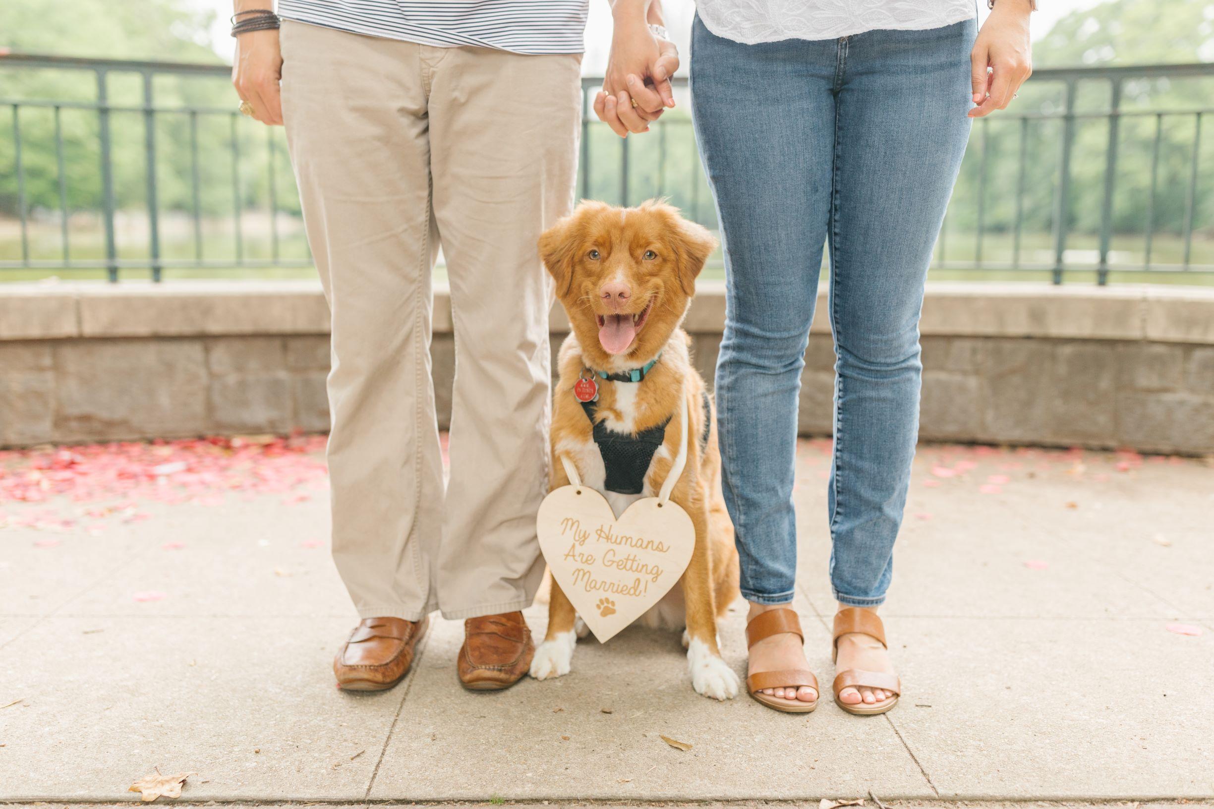 The Wedding Website of Jessica Romine and Josef Hofer
