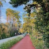 Katy Trail (Dallas)