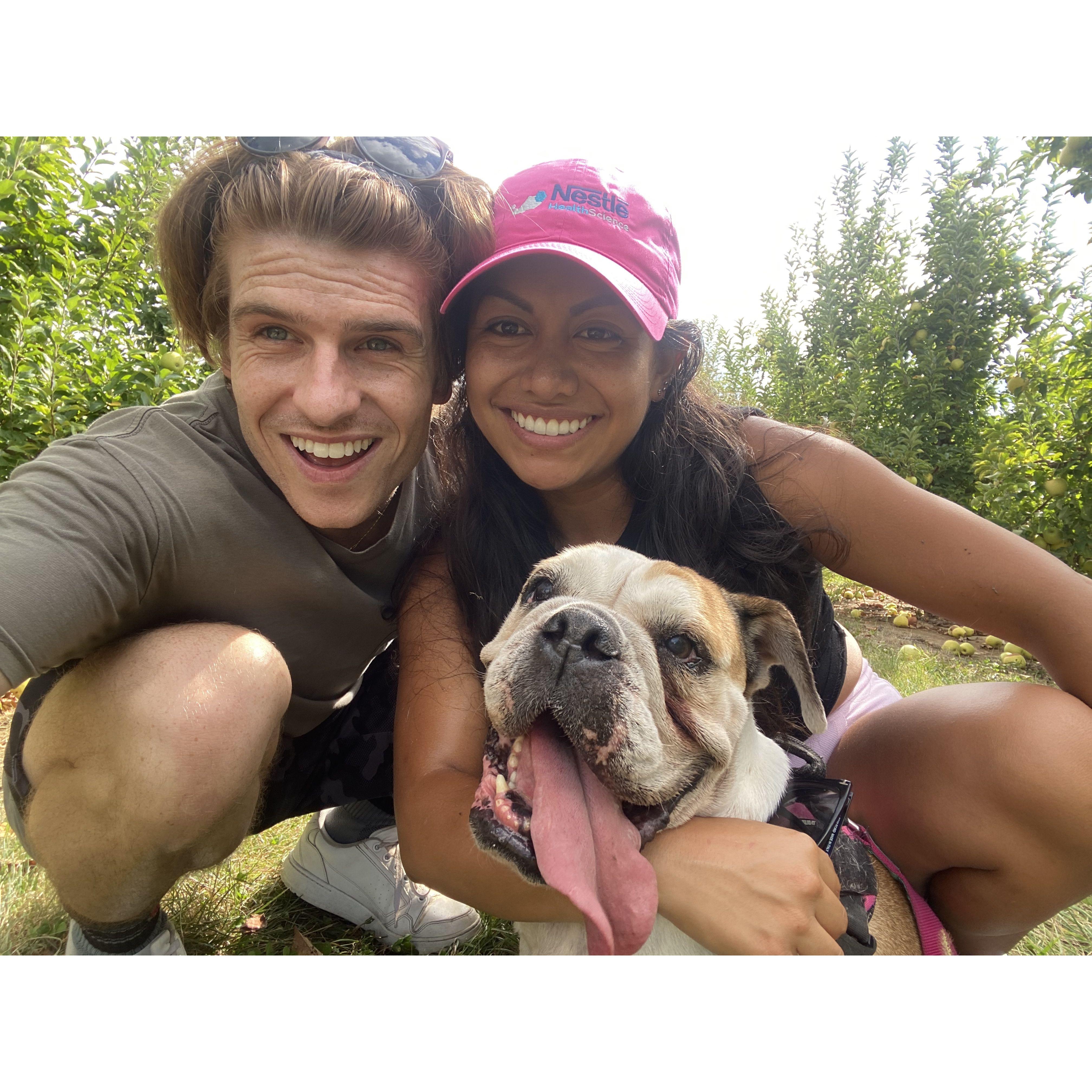 Apple picking with Ella at Eckerts