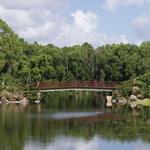 Morikami Museum and Japanese Gardens