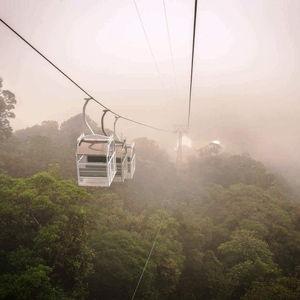 Honeymoon Activity - Tree Tram & Sky Trek Tour Monteverde