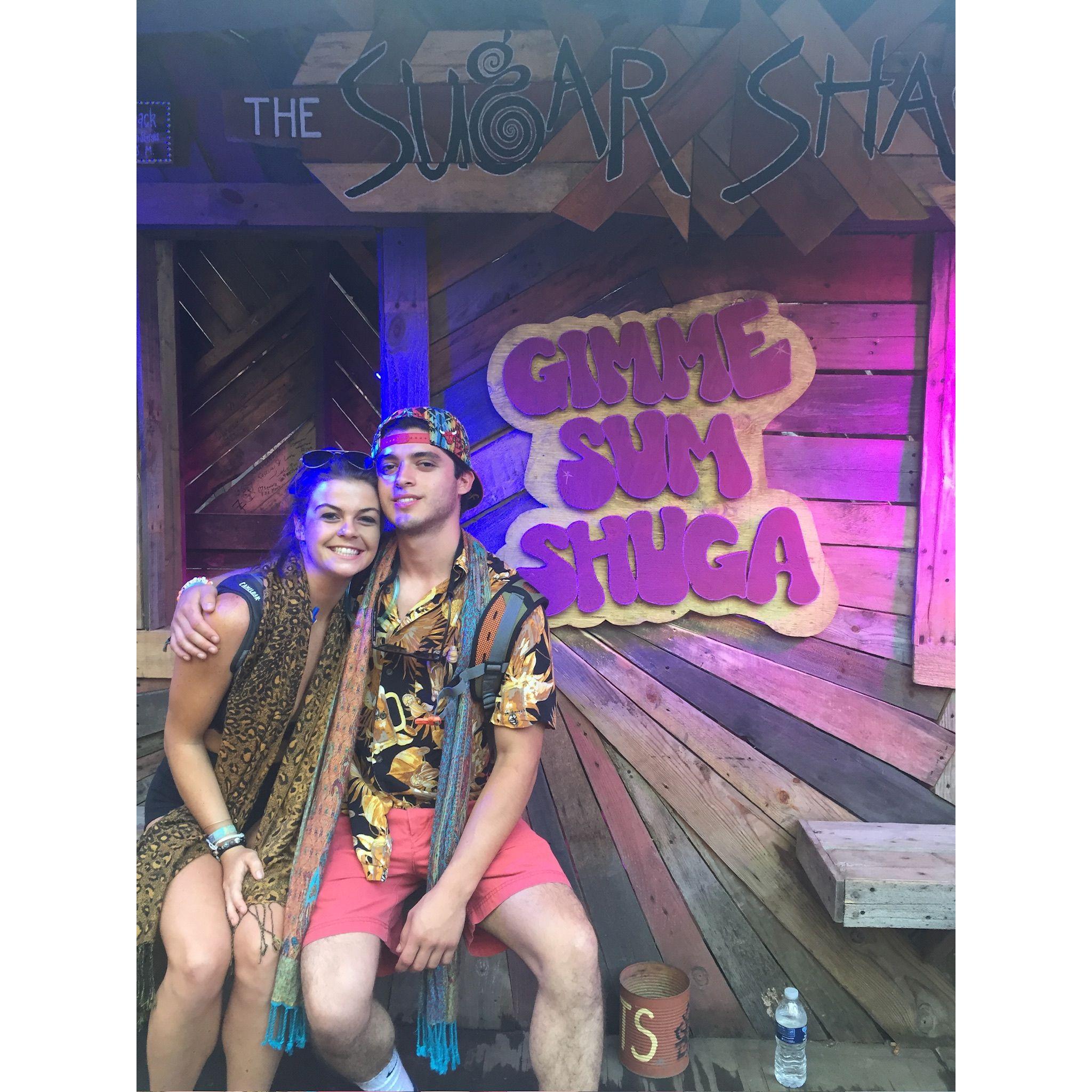Electric Forest 2017