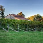 DeVault Family Vineyards