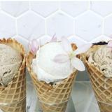 Noble Folk Ice Cream & Pie Bar