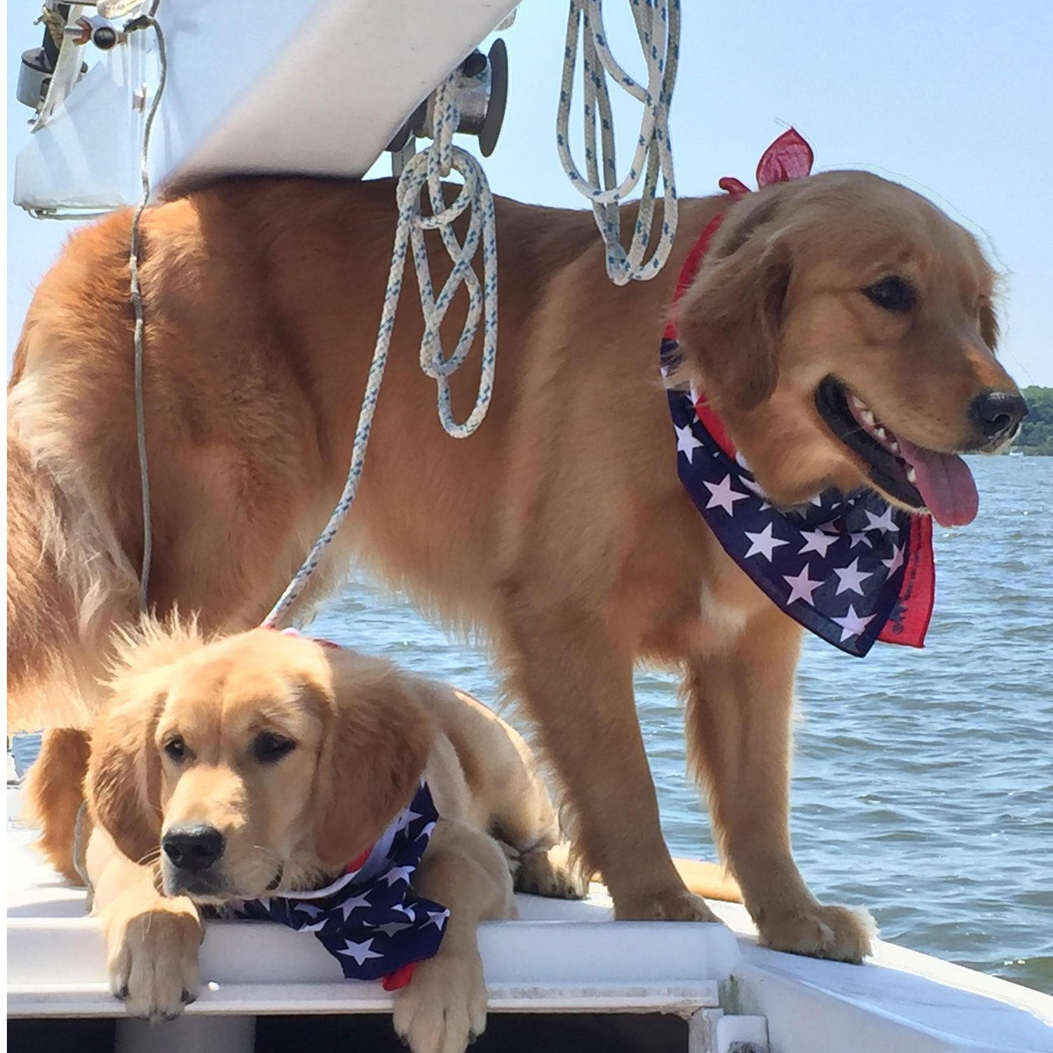 The girls sailing!