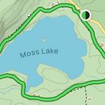 Moss Lake Trail Walk