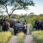Kruger National Park